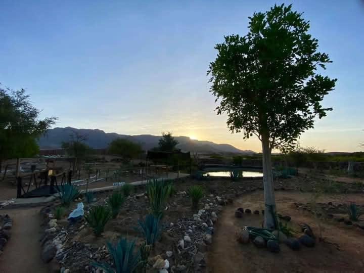 Brandberg White Lady Lodge Uis エクステリア 写真