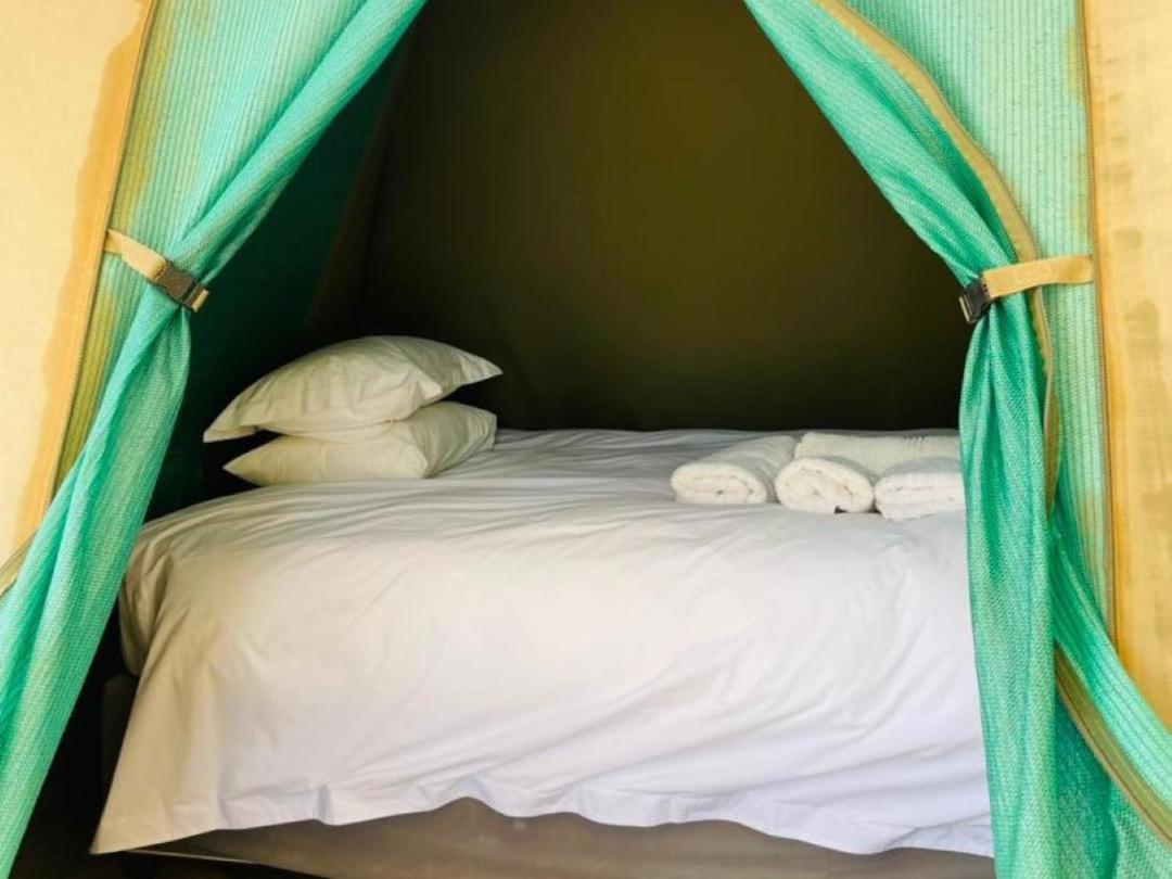 Brandberg White Lady Lodge Uis エクステリア 写真