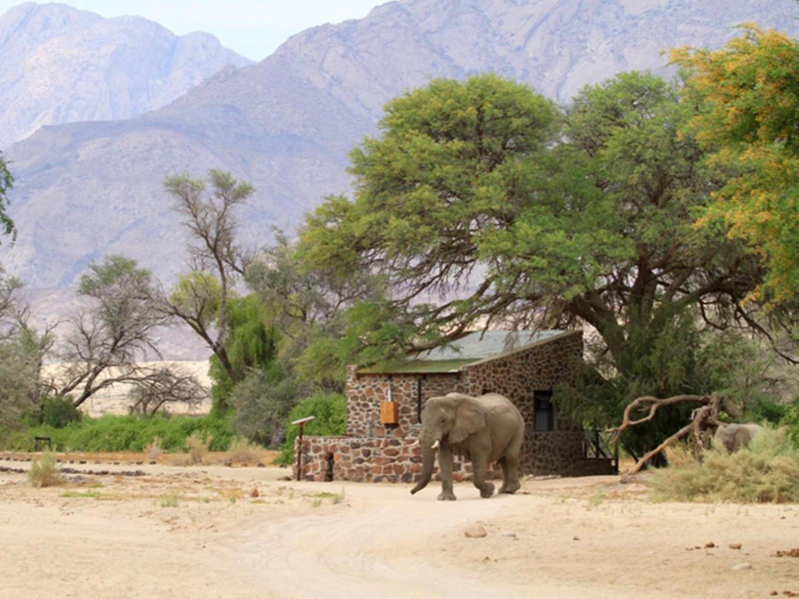 Brandberg White Lady Lodge Uis エクステリア 写真