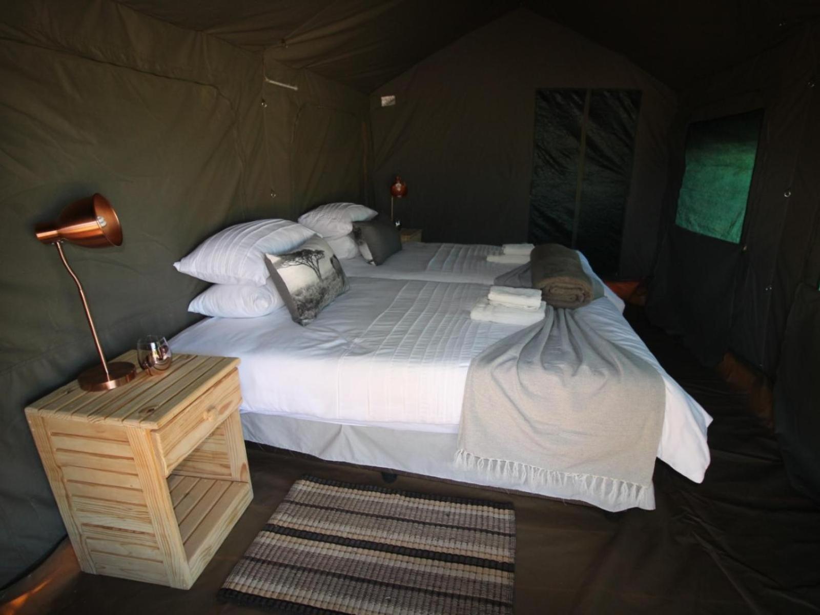Brandberg White Lady Lodge Uis エクステリア 写真