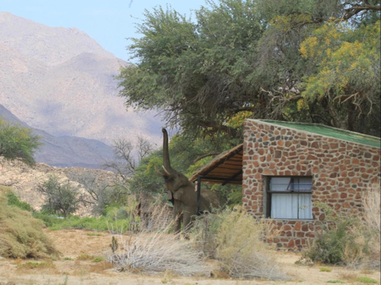 Brandberg White Lady Lodge Uis エクステリア 写真