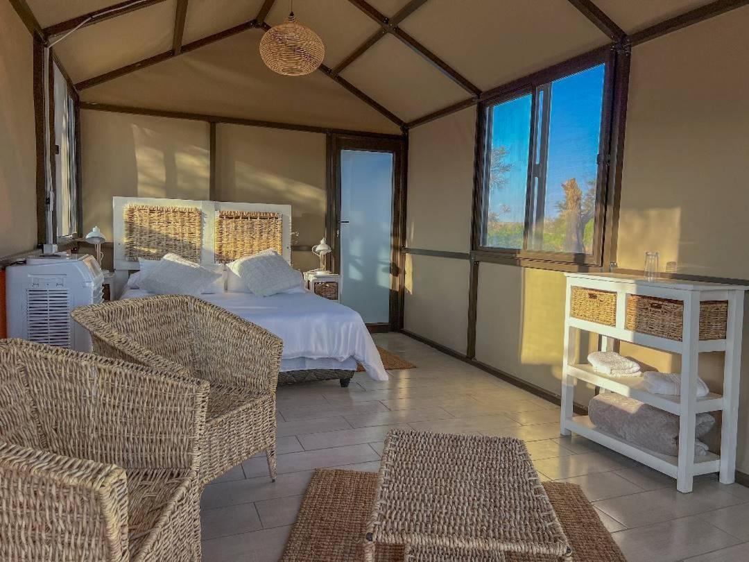 Brandberg White Lady Lodge Uis エクステリア 写真