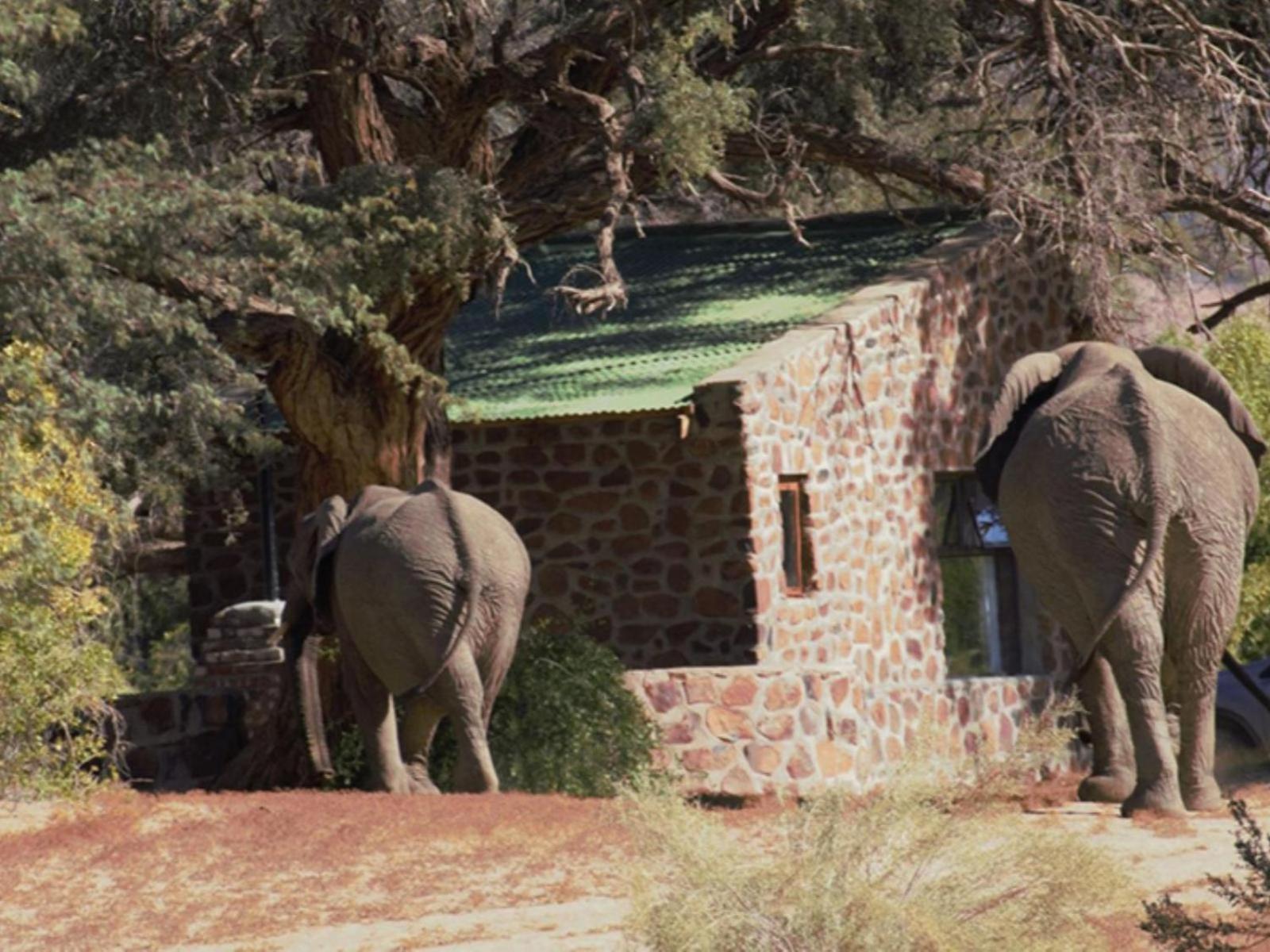 Brandberg White Lady Lodge Uis エクステリア 写真
