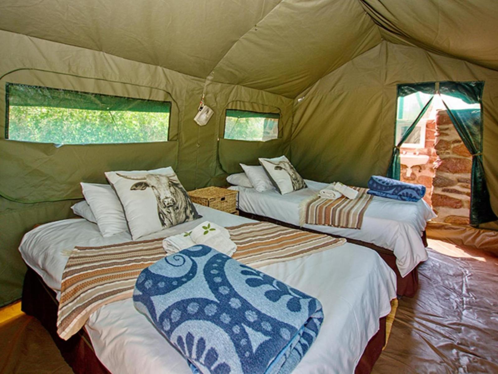 Brandberg White Lady Lodge Uis エクステリア 写真