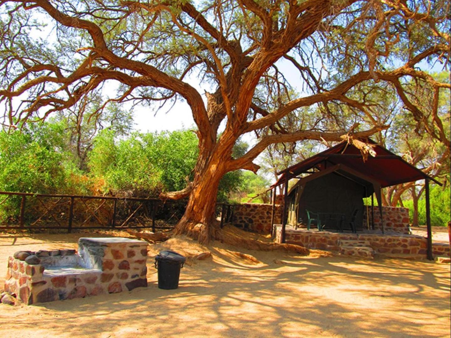 Brandberg White Lady Lodge Uis エクステリア 写真