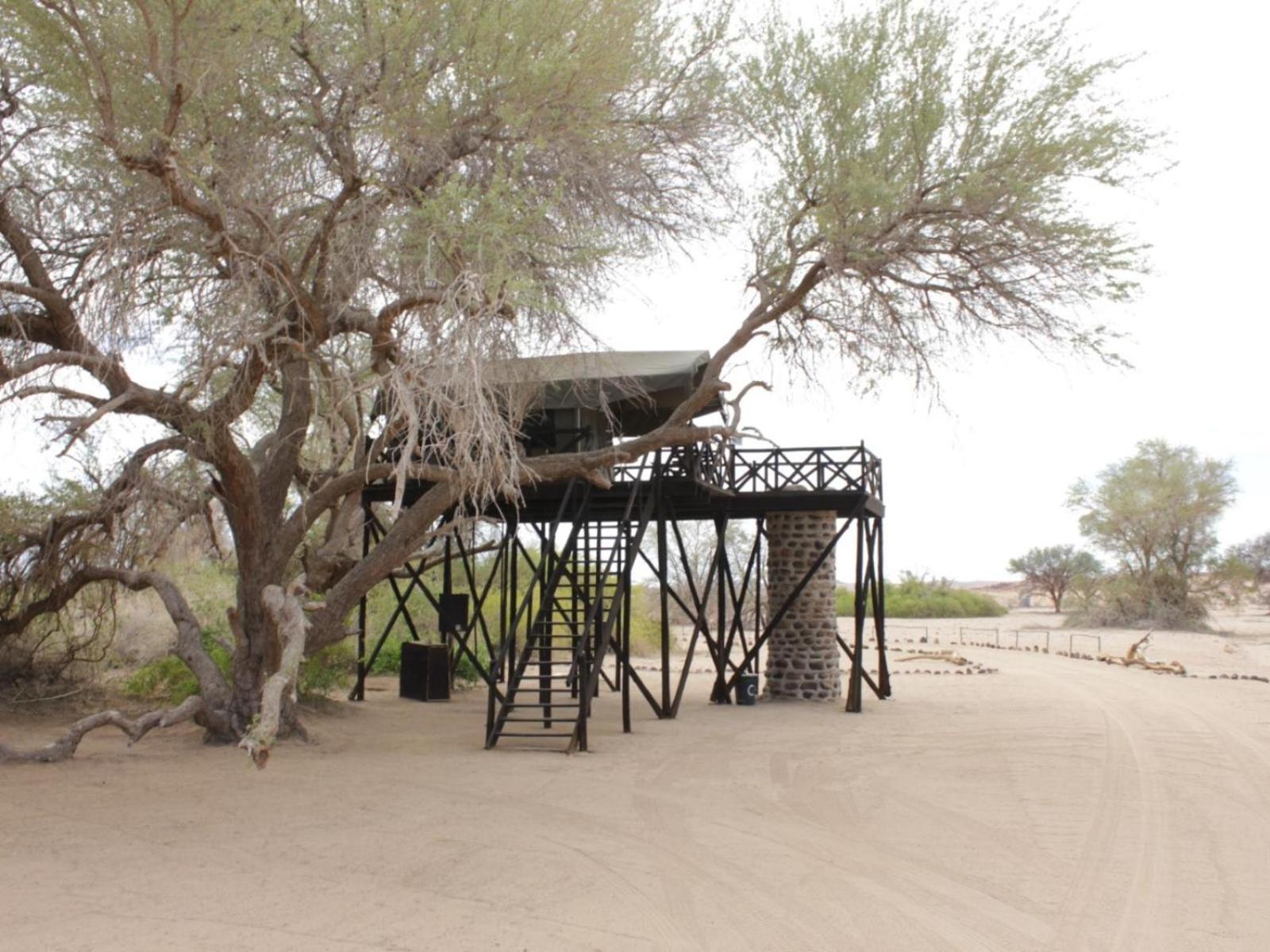 Brandberg White Lady Lodge Uis エクステリア 写真